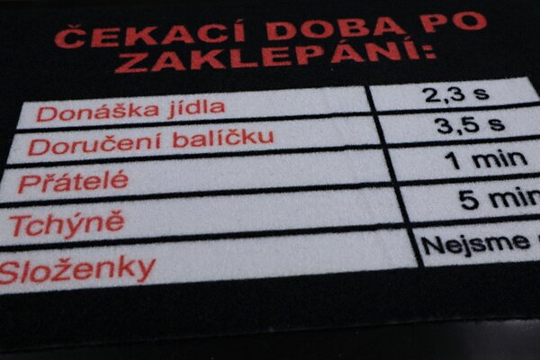 GDmats, POSLEDNÍ ŠANCE: Rohožka Čekací doba 40x60 cm - na ven i na doma, 40x60, černá