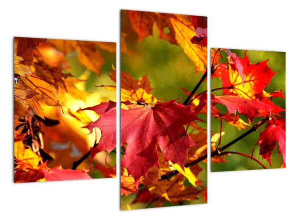 Podzimní listí, obraz (90x60cm)