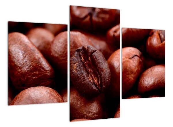 Kávové zrno - obraz (90x60cm)