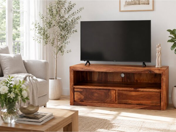 TV stolek Gani 120x50x45 z indického masivu palisandr