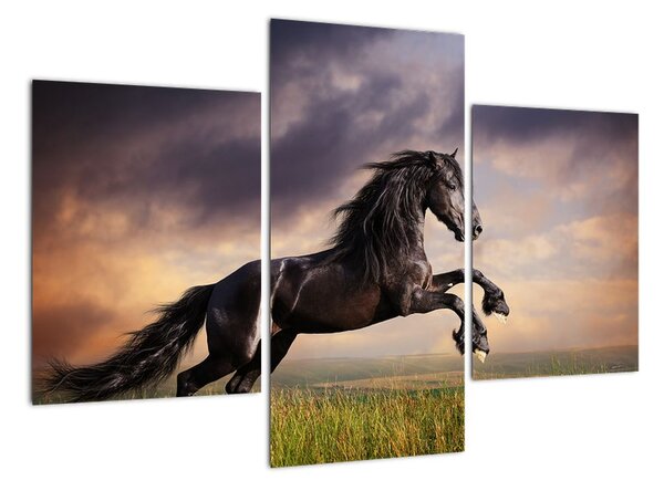 Kůň - obraz (90x60cm)