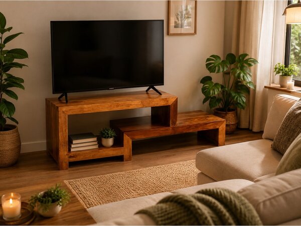 TV stolek 120x45x45 Tara z indického masivu palisandr