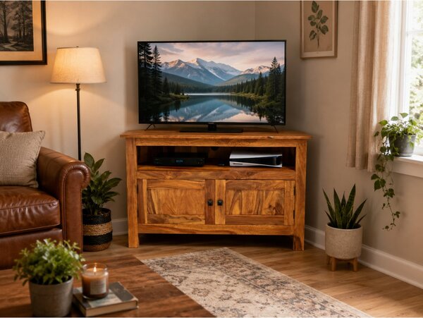 TV stolek rohový Rami 110x70x50 z indického masivu palisandr