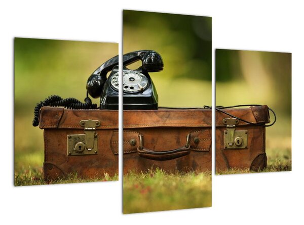 Telefon na kufru - obraz (90x60cm)