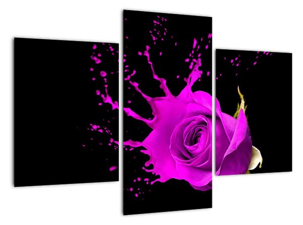 Abstraktní obraz růže - obraz (90x60cm)