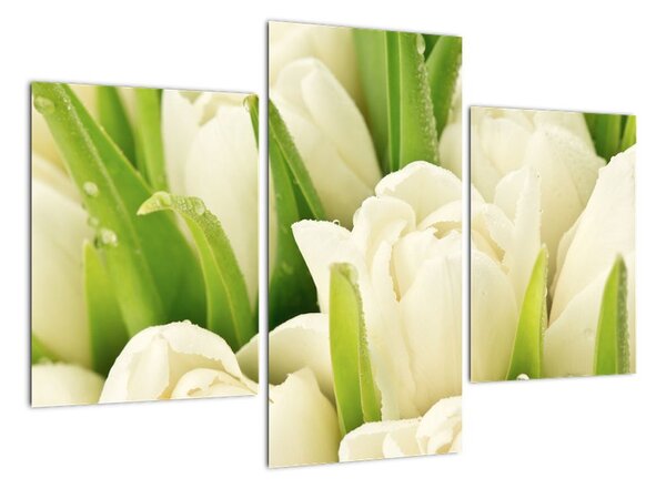 Detail tulipánů - obraz (90x60cm)