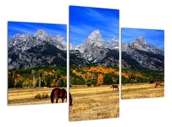 Panorama krajiny - obraz (90x60cm)