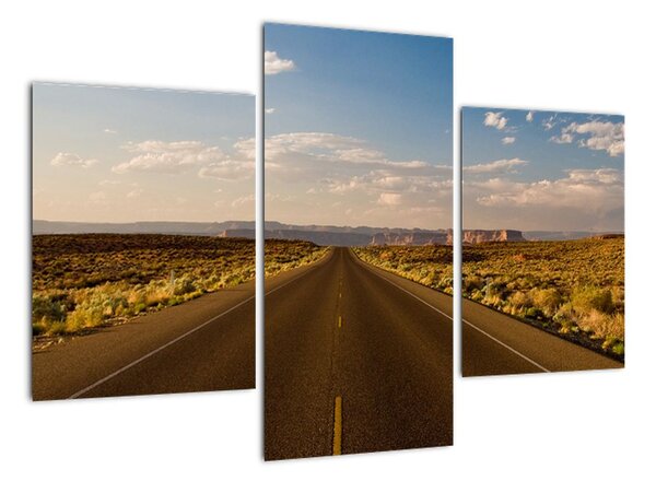 Panorama cesty - obraz (90x60cm)