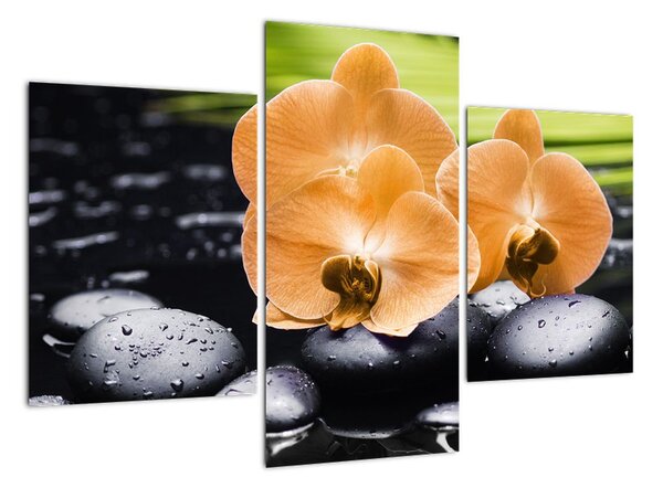 Květ orchideje - moderní obraz (90x60cm)