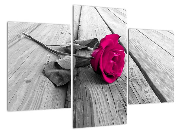 Obrazy květin - růže (90x60cm)