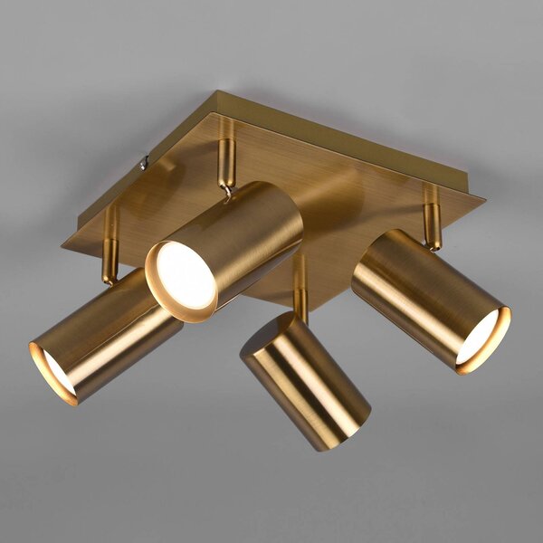Trio Lighting Stropní bodové svítidlo Marley, starožitná mosaz, 4 světla, stmívatelný, Bronz / starožitná mosaz, Obývací pokoj / jídelna, kov, Moderní