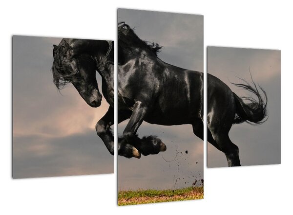 Černý kůň, obraz (90x60cm)