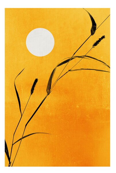 Plakát, Obraz - Kubistika - Sunny days