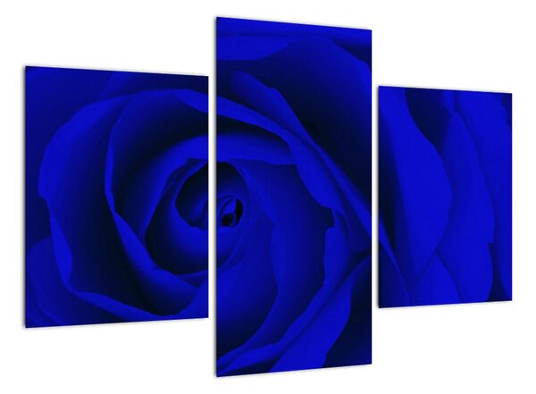Detail modré růže - obraz (90x60cm)