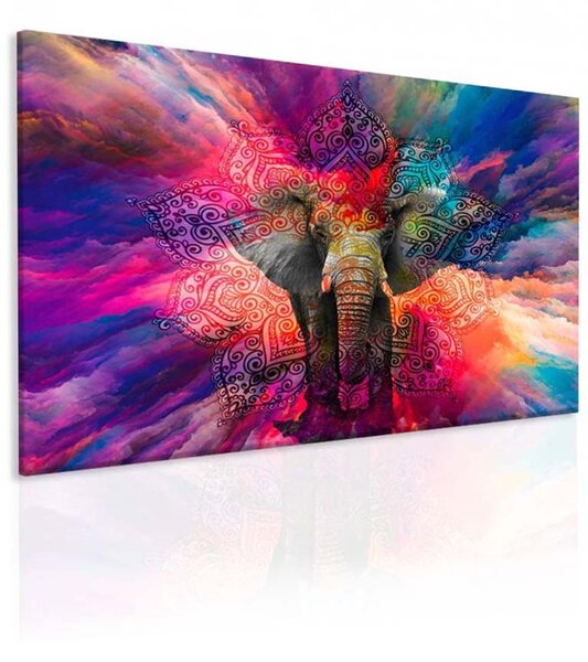 Obraz slon v barvách Velikost (šířka x výška): 90x60 cm