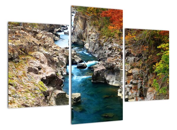 Proudící řeka - obraz (90x60cm)