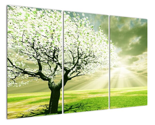 Jarní strom - moderní obraz (120x80cm)
