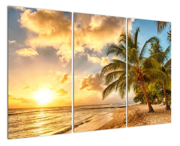 Obraz palmy na písečné pláži (120x80cm)