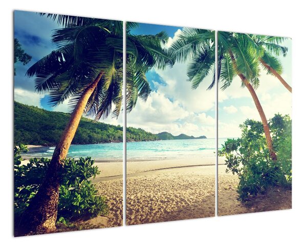 Obraz palem na pláži (120x80cm)