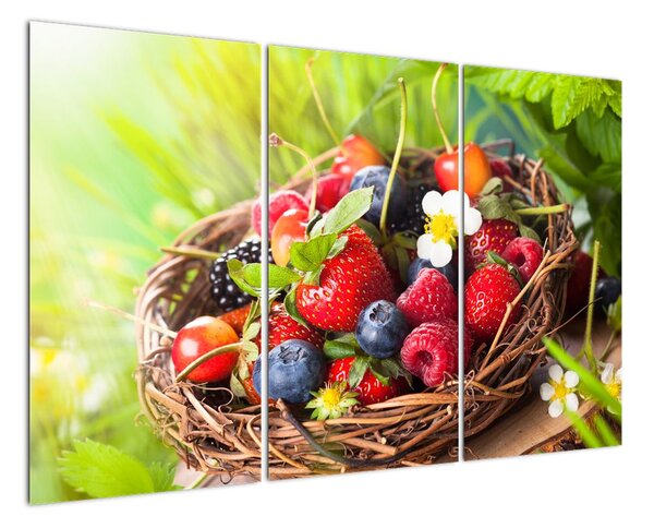 Obraz borůvek, jahod a malin (120x80cm)