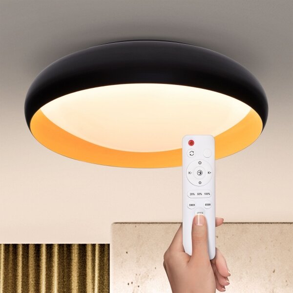 Brilagi - LED Stmívatelné stropní svítidlo LIVIA LED/48W/230V 3000-6500K + DO