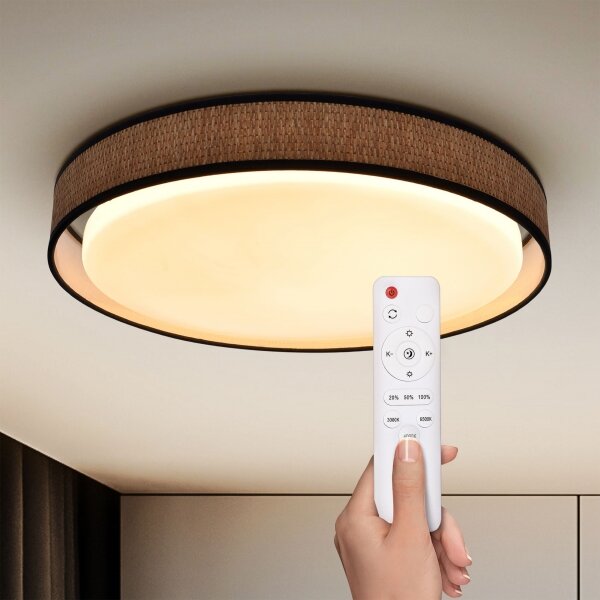 Brilagi - LED Stmívatelné stropní svítidlo PILAR LED/48W/230V 3000-6500K + DO