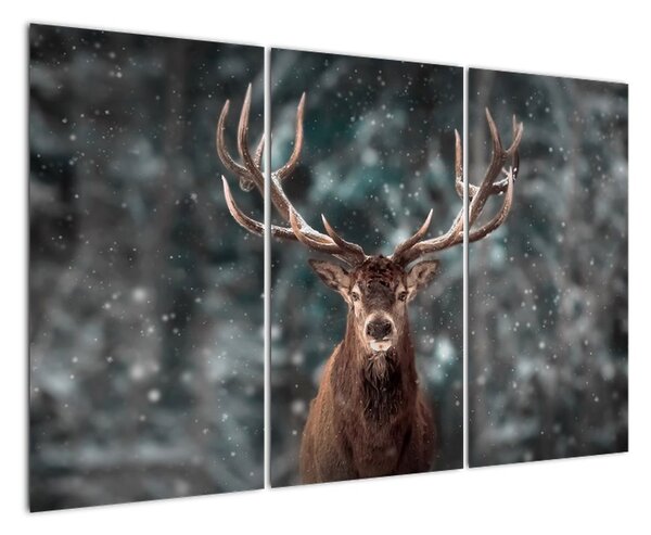 Obraz - jelen v zimě (120x80cm)