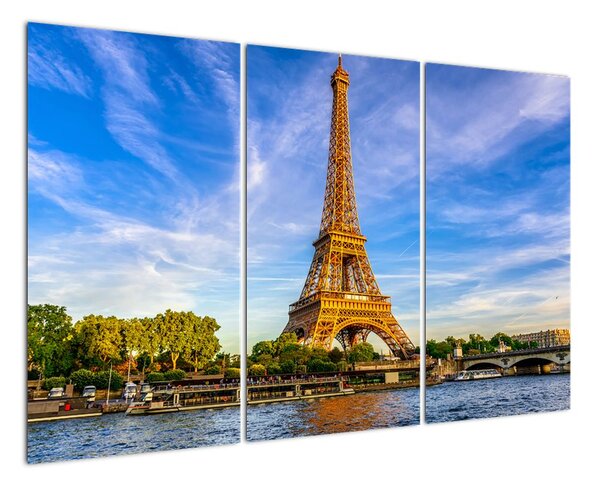Obraz: Eiffelova věž, Paříž (120x80cm)