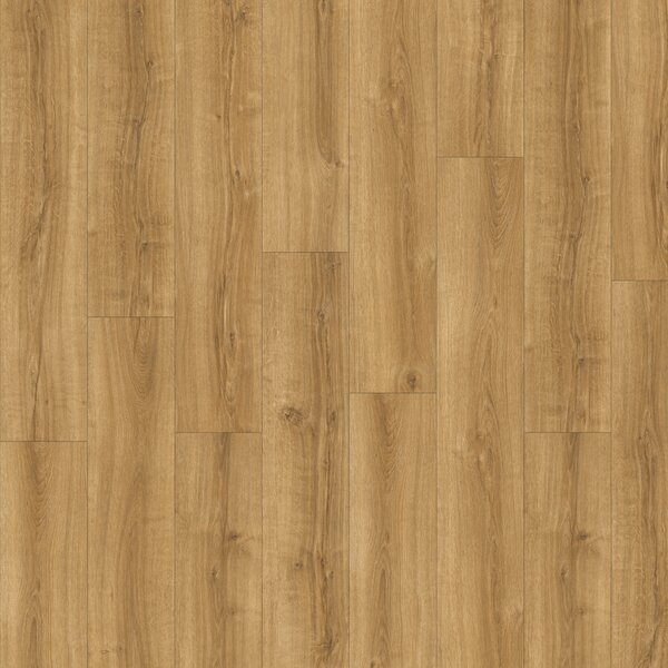 Vinylová podlaha AVVIO Summer Oak 22565