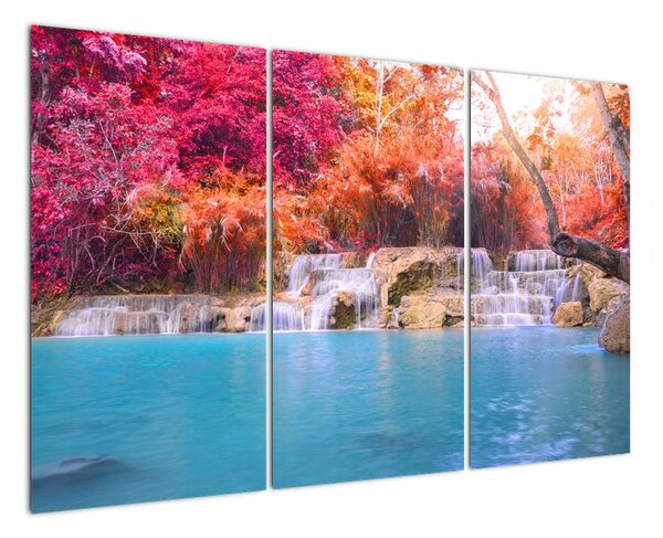 Obraz vodopádu a barevné přírody (120x80cm)