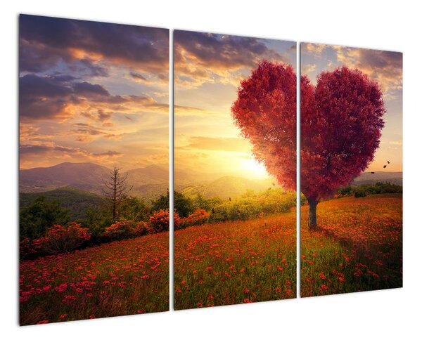 Červené srdce na louce (120x80cm)