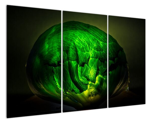 Zelená moderní abstrakce (120x80cm)