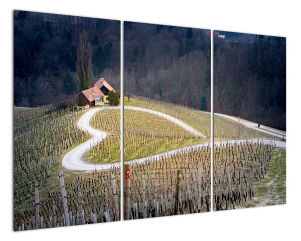 Cesta ve vinici ve tvaru srdce (120x80cm)