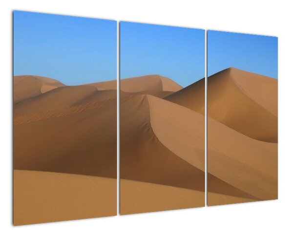 Obraz písečných dun (120x80cm)
