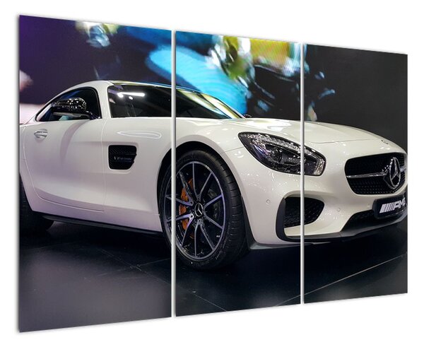 Obraz závodního automobilu (120x80cm)