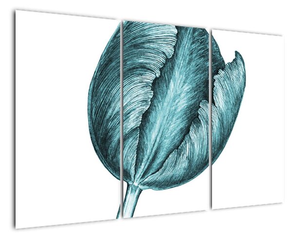 Obraz zeleného tulipánu (120x80cm)