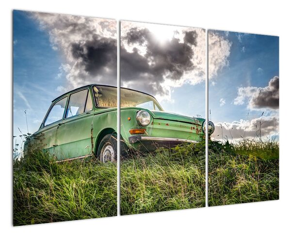 Obraz zeleného auta v trávě (120x80cm)