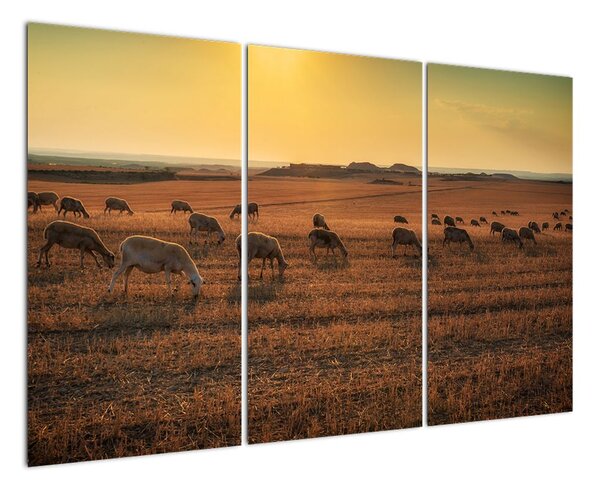 Obraz - panorama krajiny na zeď (120x80cm)