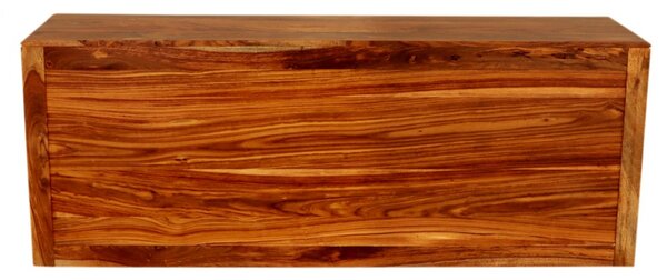 TV stolek Tina s úložným prostorem 140x60x45 z masivu palisandr