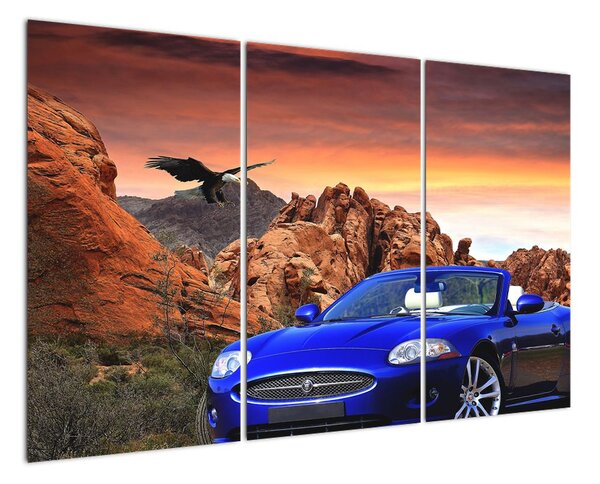 Obraz - automobil (120x80cm)