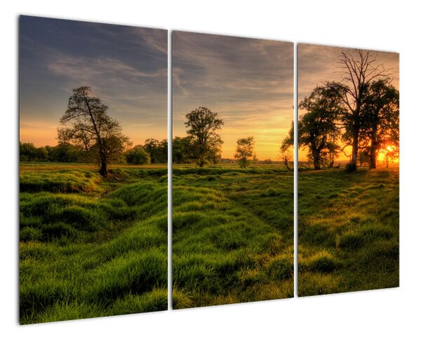 Západ slunce v krajině, obrazy (120x80cm)