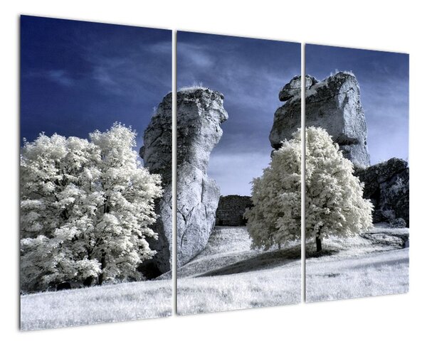 Zimní krajina - obraz do bytu (120x80cm)