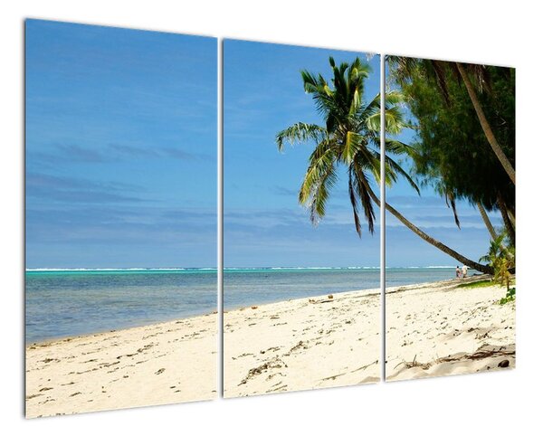 Fotka pláže - obraz (120x80cm)