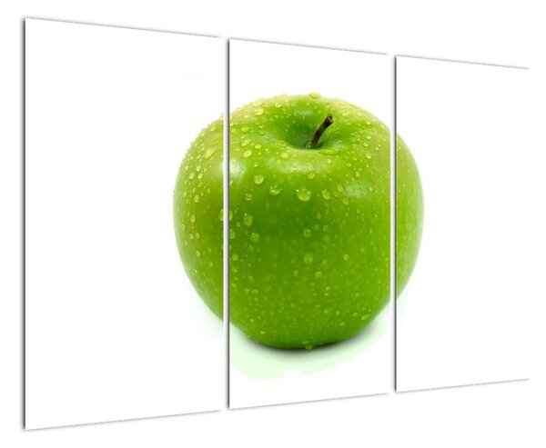 Jablko - moderní obraz (120x80cm)