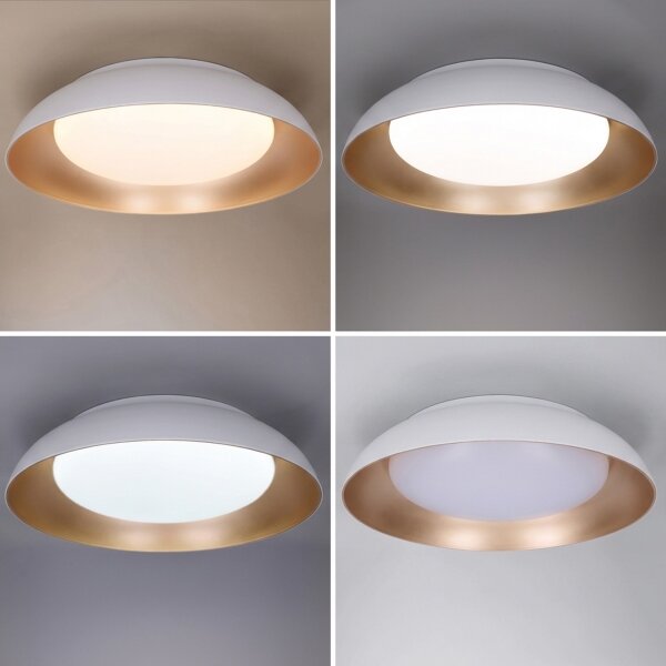Brilagi -LED Stmívatelné svítidlo ALVA LED/48W/230V 3000-6500K pr. 51 cm bílá+DO