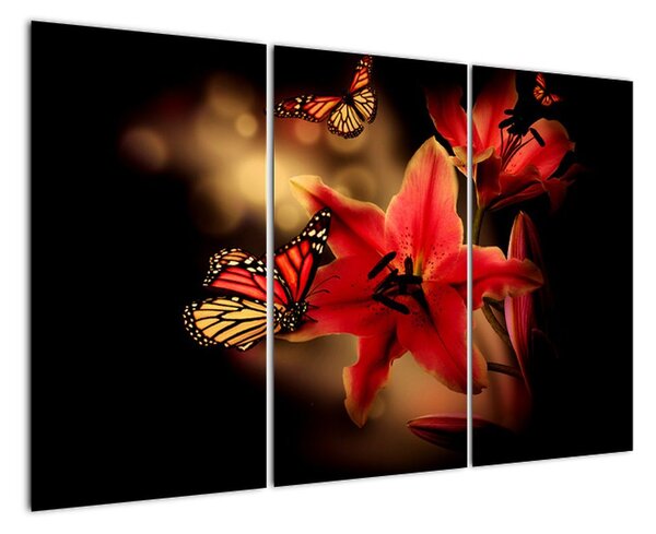Orchidej - obraz (120x80cm)