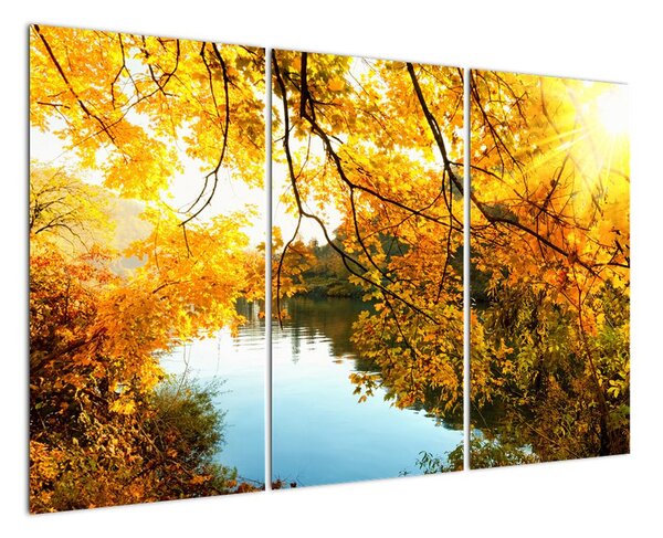 Podzimní krajina - obraz (120x80cm)