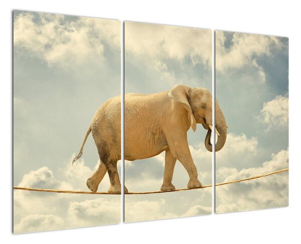 Slon na laně, obraz (120x80cm)