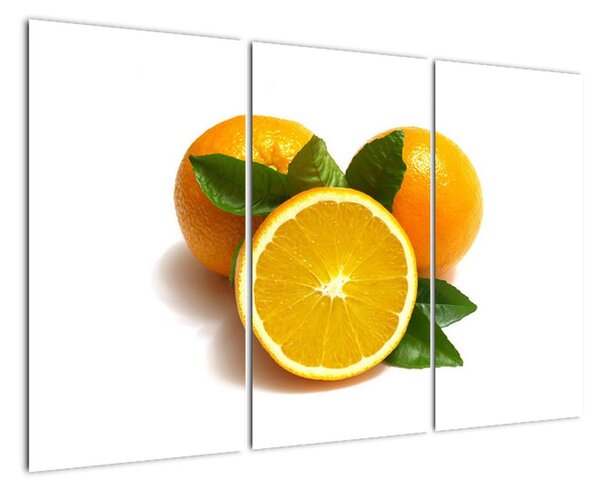 Pomeranče - obraz (120x80cm)