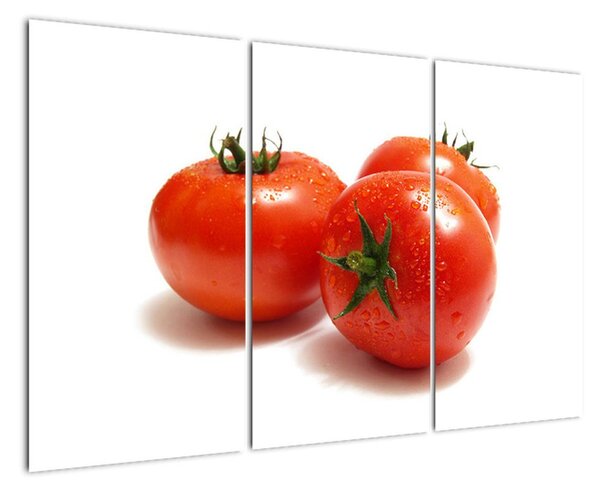 Rajčata, obraz (120x80cm)